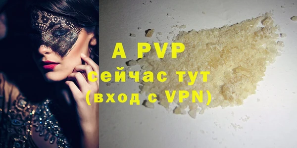индика Верхний Тагил