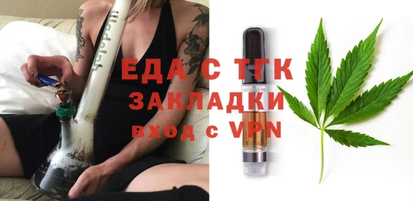 индика Верхний Тагил