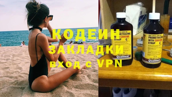 индика Верхний Тагил