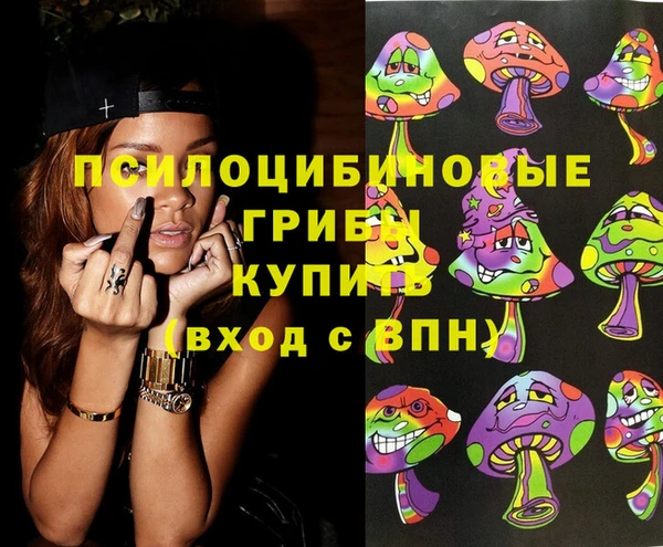 спиды Верея