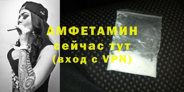 индика Верхний Тагил