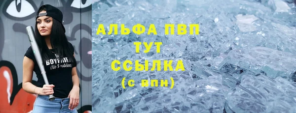 индика Верхний Тагил