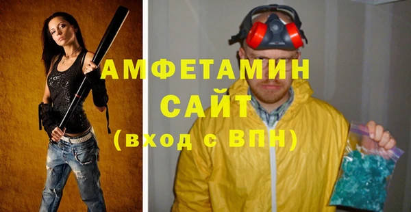 индика Верхний Тагил