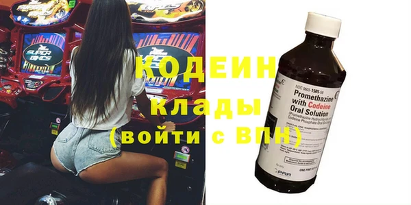 индика Верхний Тагил