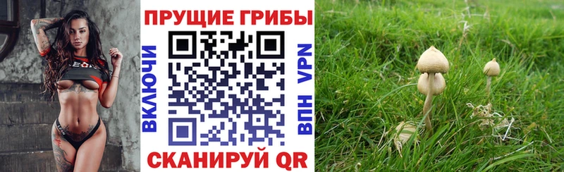 Псилоцибиновые грибы мухоморы  Новоузенск 
